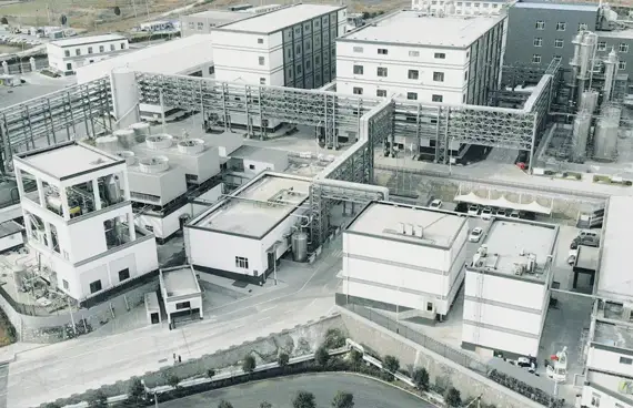 Girls having fun while eating pizza 