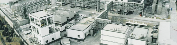Male and female farmer in field checking crop quality with smart device